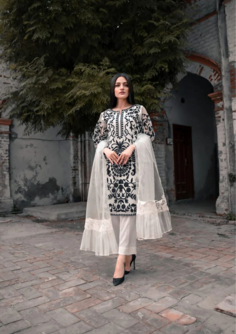 Fancy Embroidered 4pc Dress